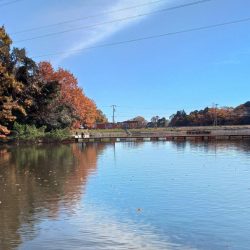 大安トラウトレイク釣果
